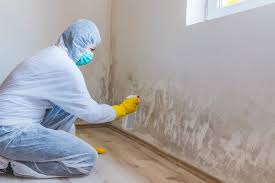 Best Emergency Mold Remediation  in Point Roberts, WA